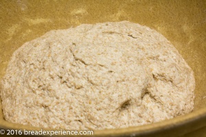 Kefir Milk Whole Grain and Sprouted Spelt Soaker