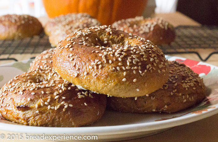 Pumpkin Spelt Bagels made with Kefir Milk