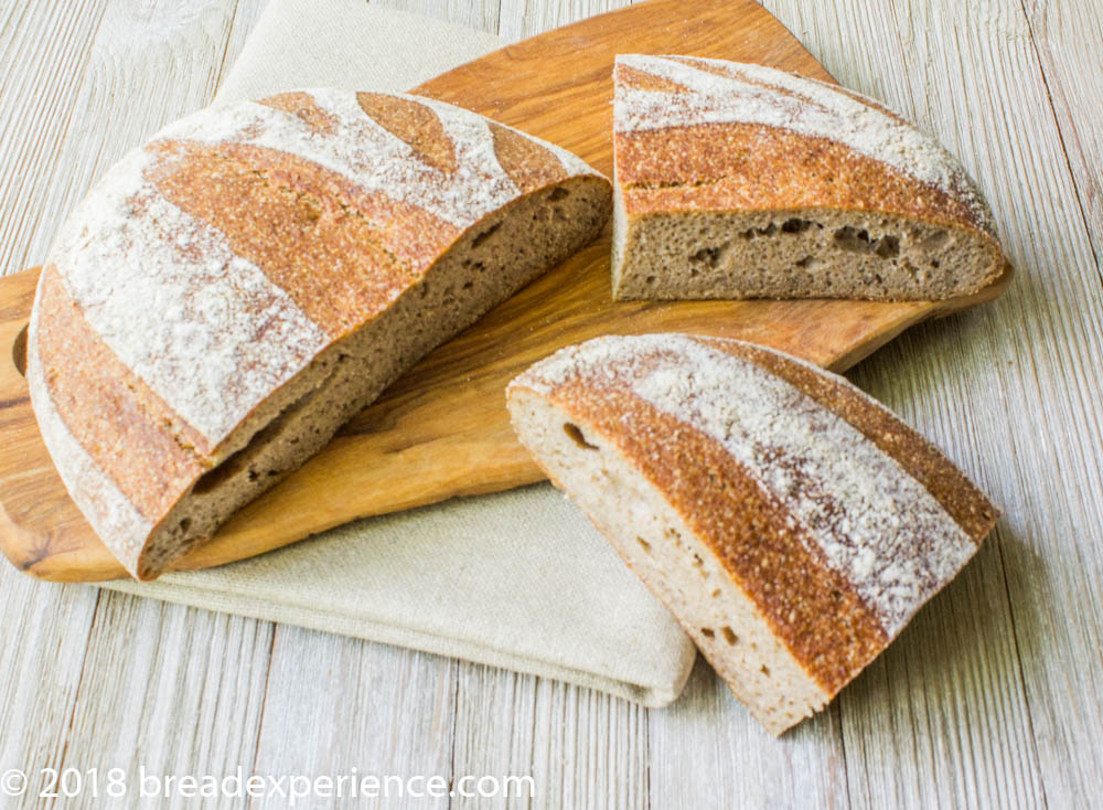 Lariano-Style Bread crumb shot