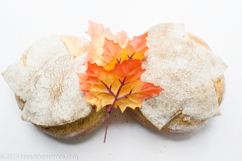 Pane Foglia Leaf Bread