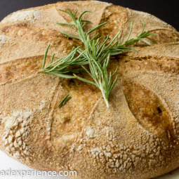 Lemon Rosemary Spelt KAMUT Campagne Boule