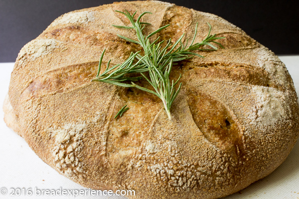 Lemon Rosemary Spelt KAMUT Campagne Boule