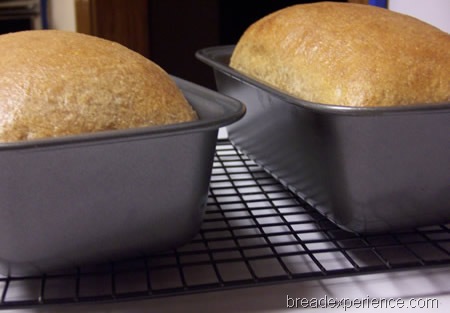 Light Wheat and Spelt Loaves in Pans