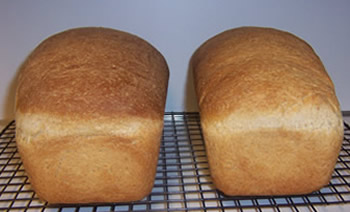 Light Wheat Bread