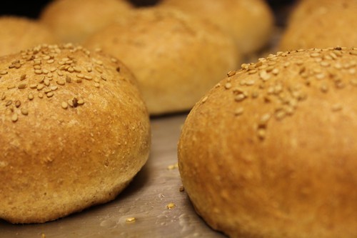 Freshly baked burger buns