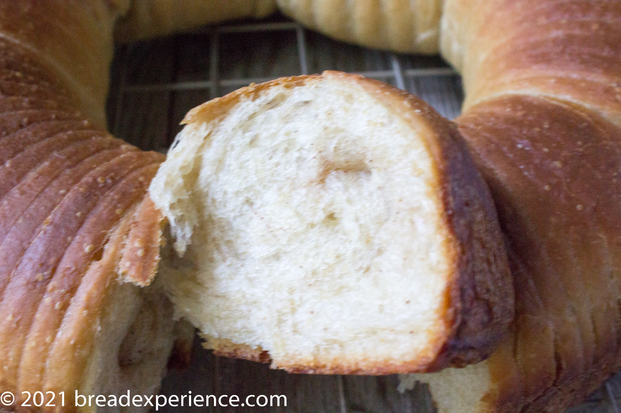 Close up of Wool Roll Bread