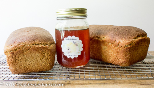 Einkorn Loaves with Local Honey