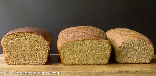 One formula, 3 loaves, each made with a different Flour - White Winter Wheat, KAMUT and Einkorn