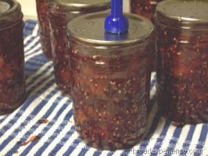 mango-raspberry-jam 012