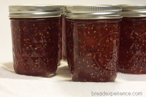 mango-raspberry-jam 025