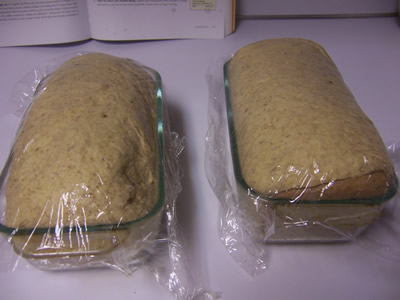 Proofed Rye Loaves