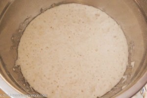 mixed-grain-overnight-poolish-1-4