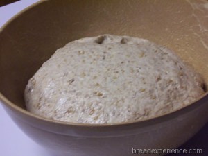 multigrain-spelt-bread-with-soaker 009