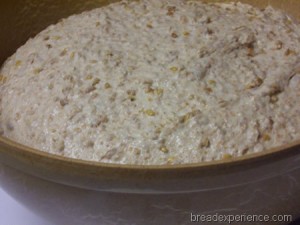 multigrain-spelt-bread-with-soaker 011