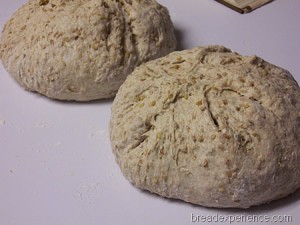 multigrain-spelt-bread-with-soaker 013