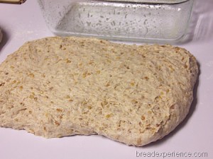 multigrain-spelt-bread-with-soaker 014