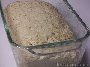 multigrain-spelt-bread-with-soaker 016