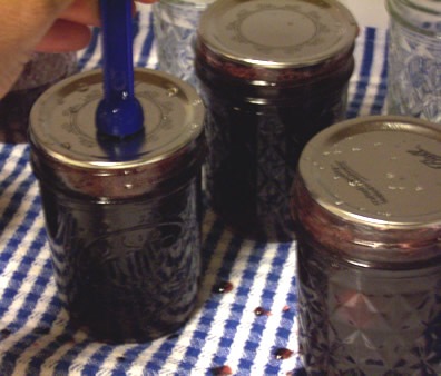 Muscadine Jelly in Jars
