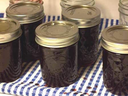 Processed Muscadine Jelly