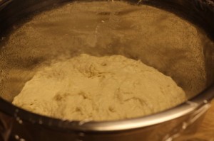 no-knead-pizza-dough006