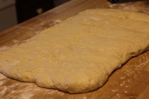 no-knead-pizza-dough010