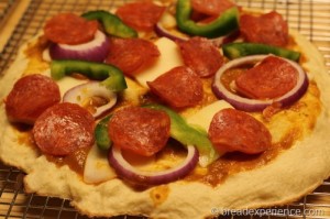 no-knead-pizza-dough017