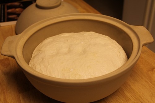 no-knead-sourdough014