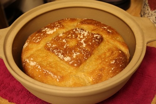 Easy No Knead Sourdough Bread in Pot