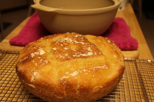 Easy No Knead Sourdough