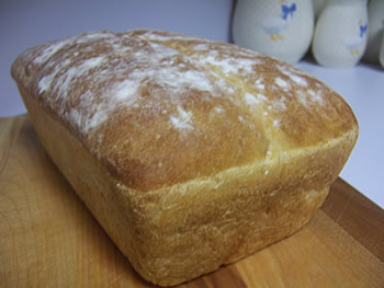 No Knead White Bread