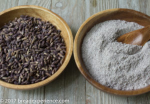 Purple Barley Grains milled into flour