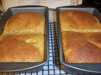 Oatmeal Pumpkin Bread