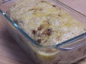 oatmeal-kamut-date-bread 008