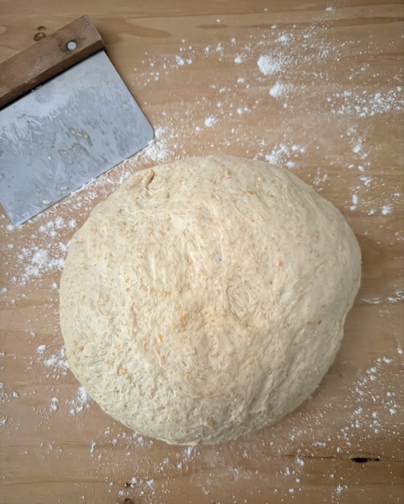 Preshaped round of dough on a floured board beside a bench scraper.