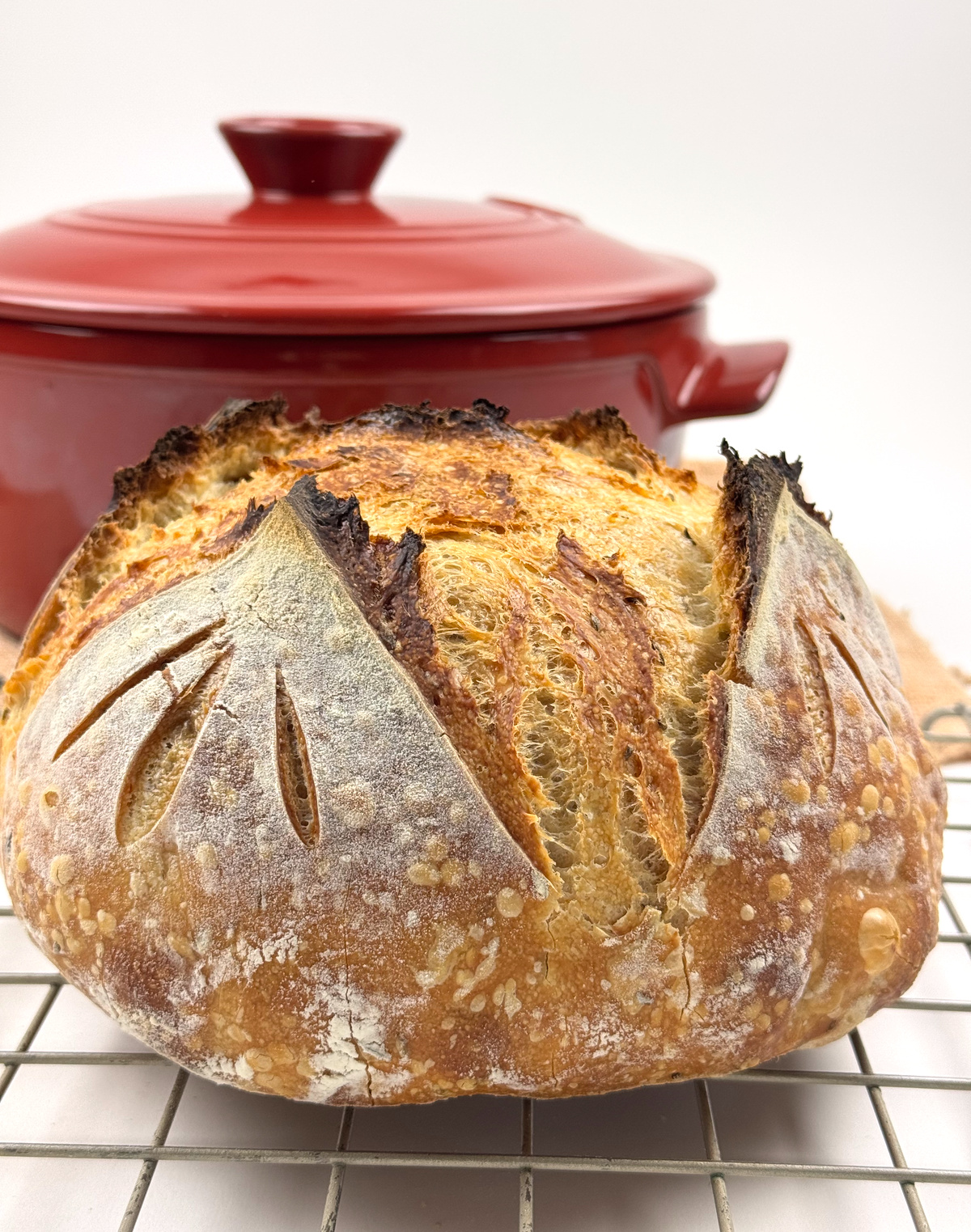 Orange Zest Sourdough Boule baked in Dutch Oven