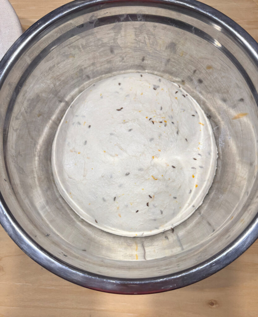 Orange Zest Sourdough dough with toasted caraway seeds resting in the bowl