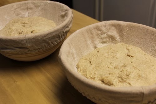 FYSW Overnight White; Lodge Dutch Oven vs EH Bread Cloche : r/Breadit