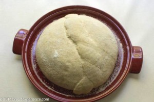 pain-cordon-de-bourgogne-10
