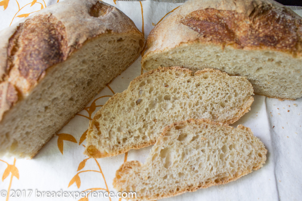 Dutch Oven Pain de Campagne Crumb Shot 