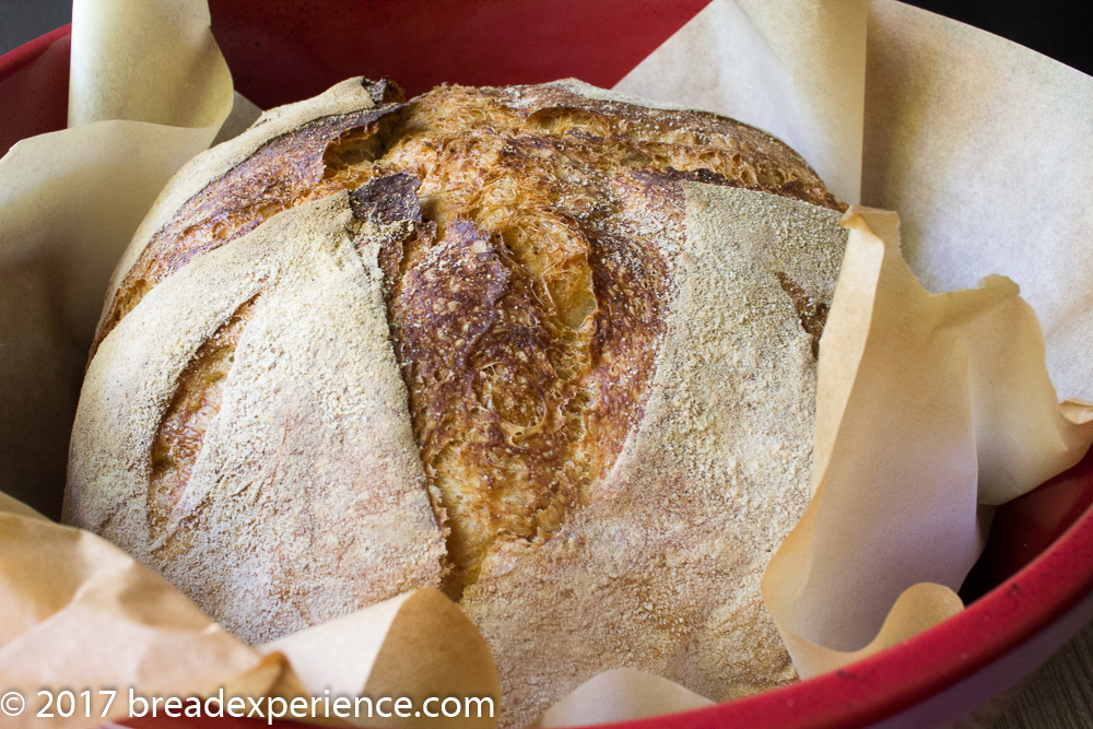 Dutch Oven Pain de Campagne in Parchment Sling