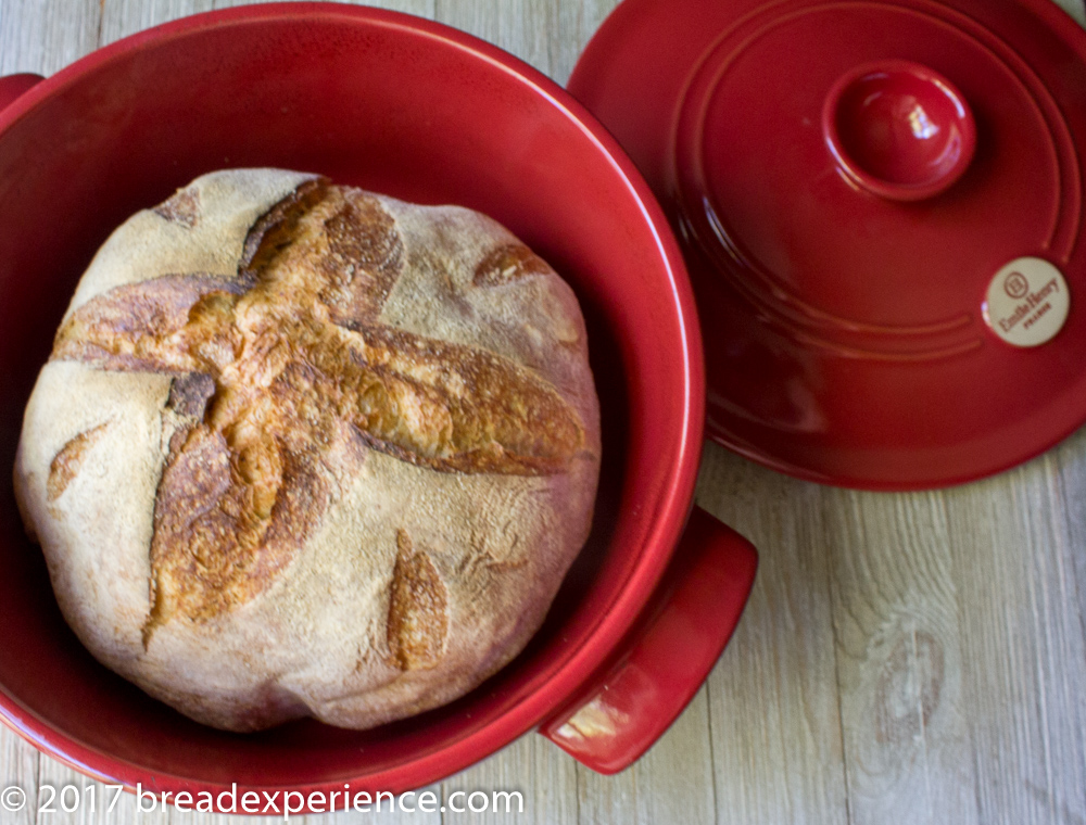 Easy Dutch Oven Pain de Campagne