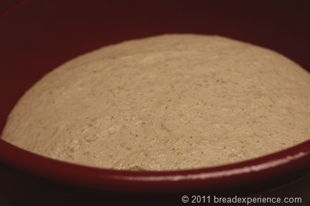 peasant-bread_0699