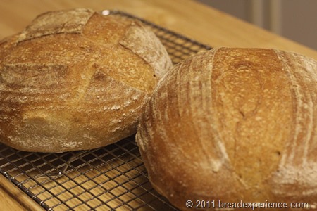 peasant-bread_0726