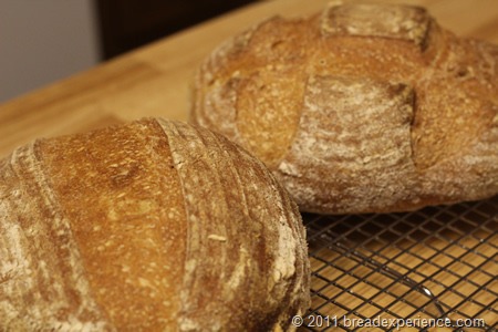 peasant-bread_0731