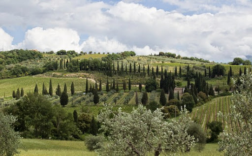 My Plated Stories Tuscan Experience