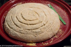 Sourdough Polenta Bread Scored