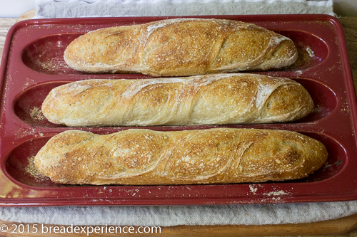 poolish-baguettes-1-2