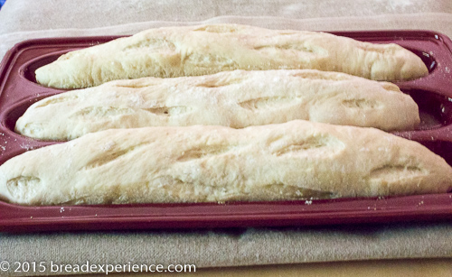 Proofed Poolish Baguettes ready to be baked