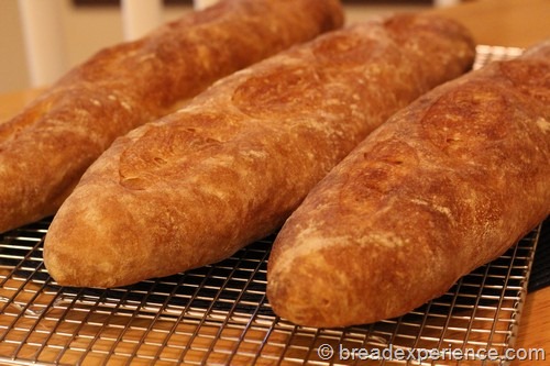 Poolish Baguettes on Cooling Rack