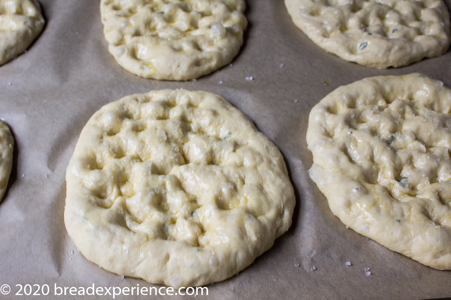 Potato Focaccine Dough